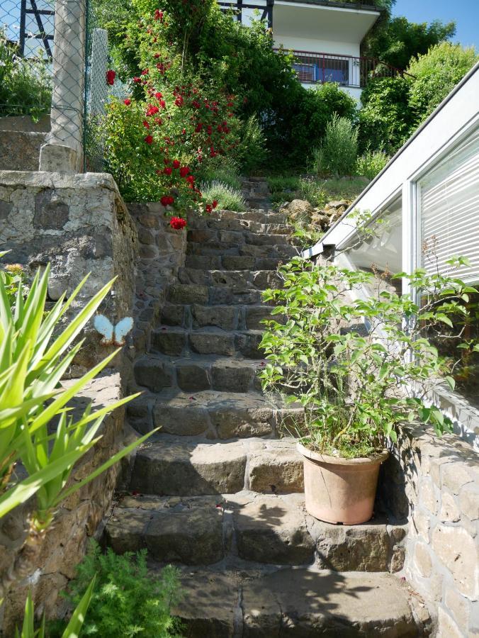 Talblick Gleiberg Appartement Krofdorf-Gleiberg Buitenkant foto